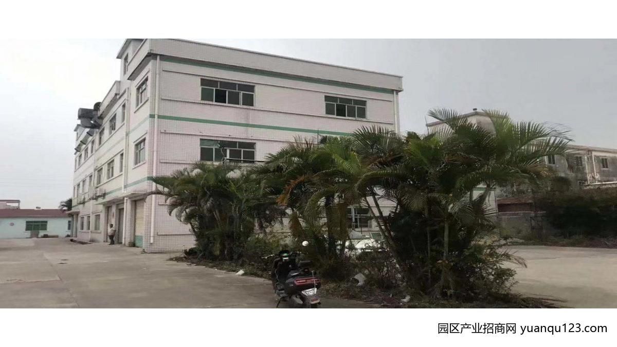 东莞市清溪镇64000平米钢架厂房出租 (可分租)(可定制)