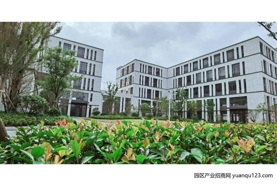园区实景图