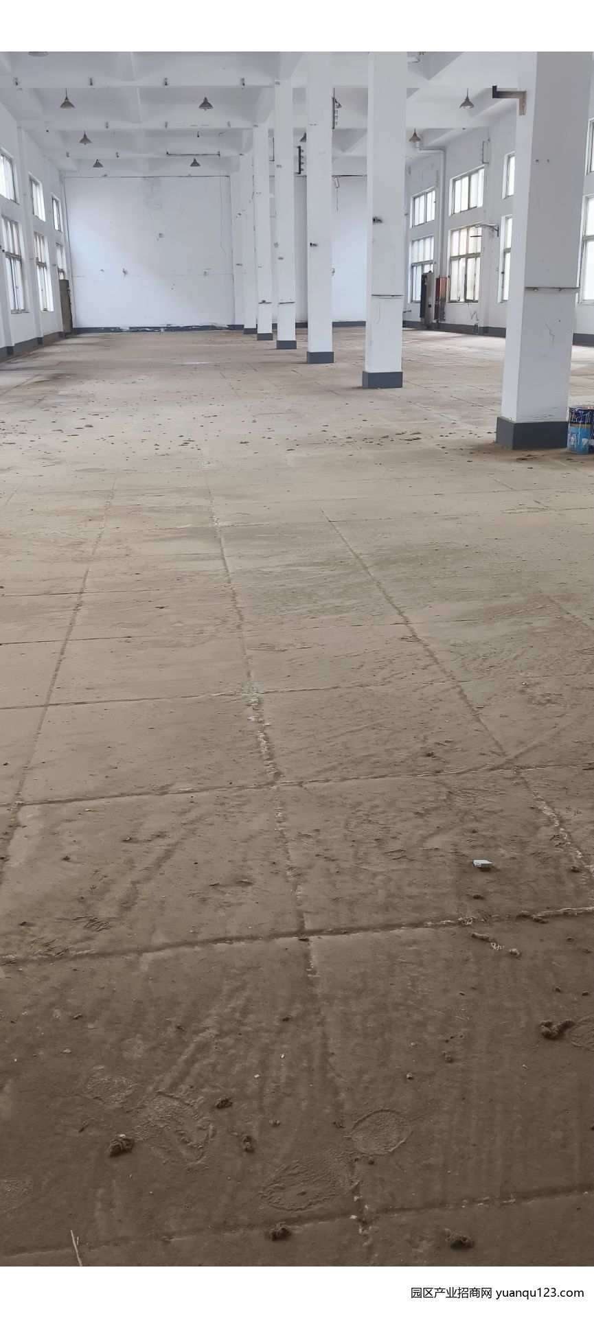 园区实景图