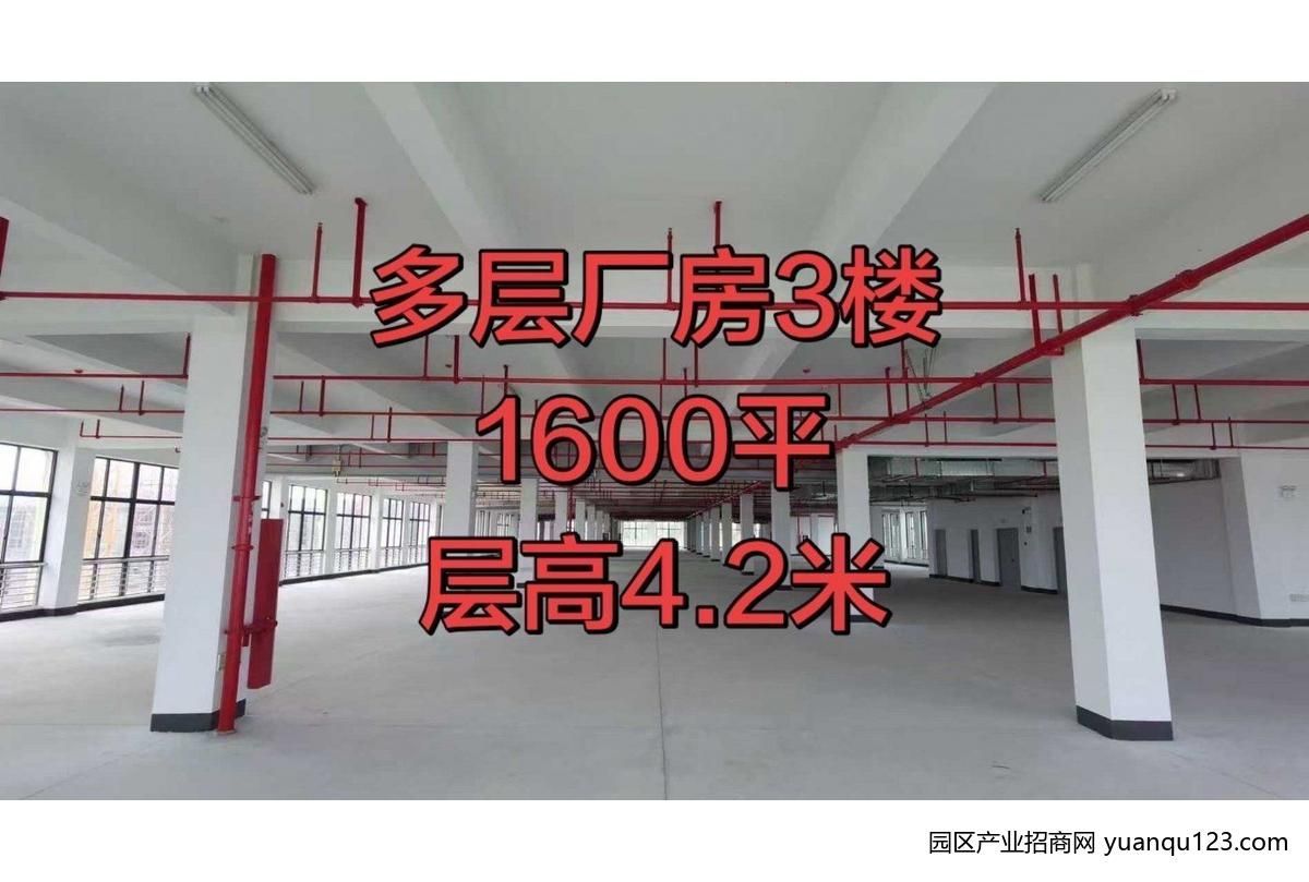 园区实景图