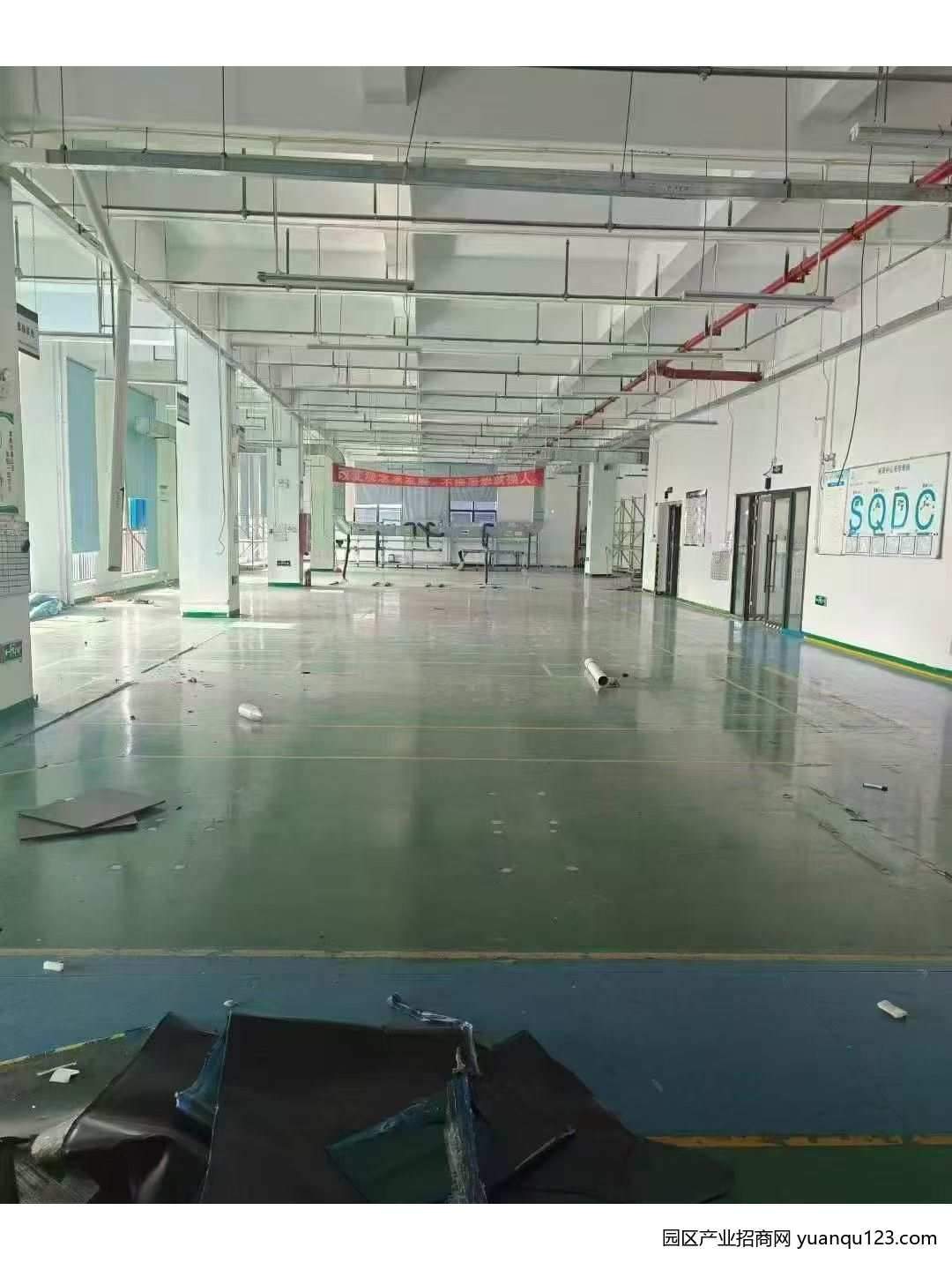 园区实景图