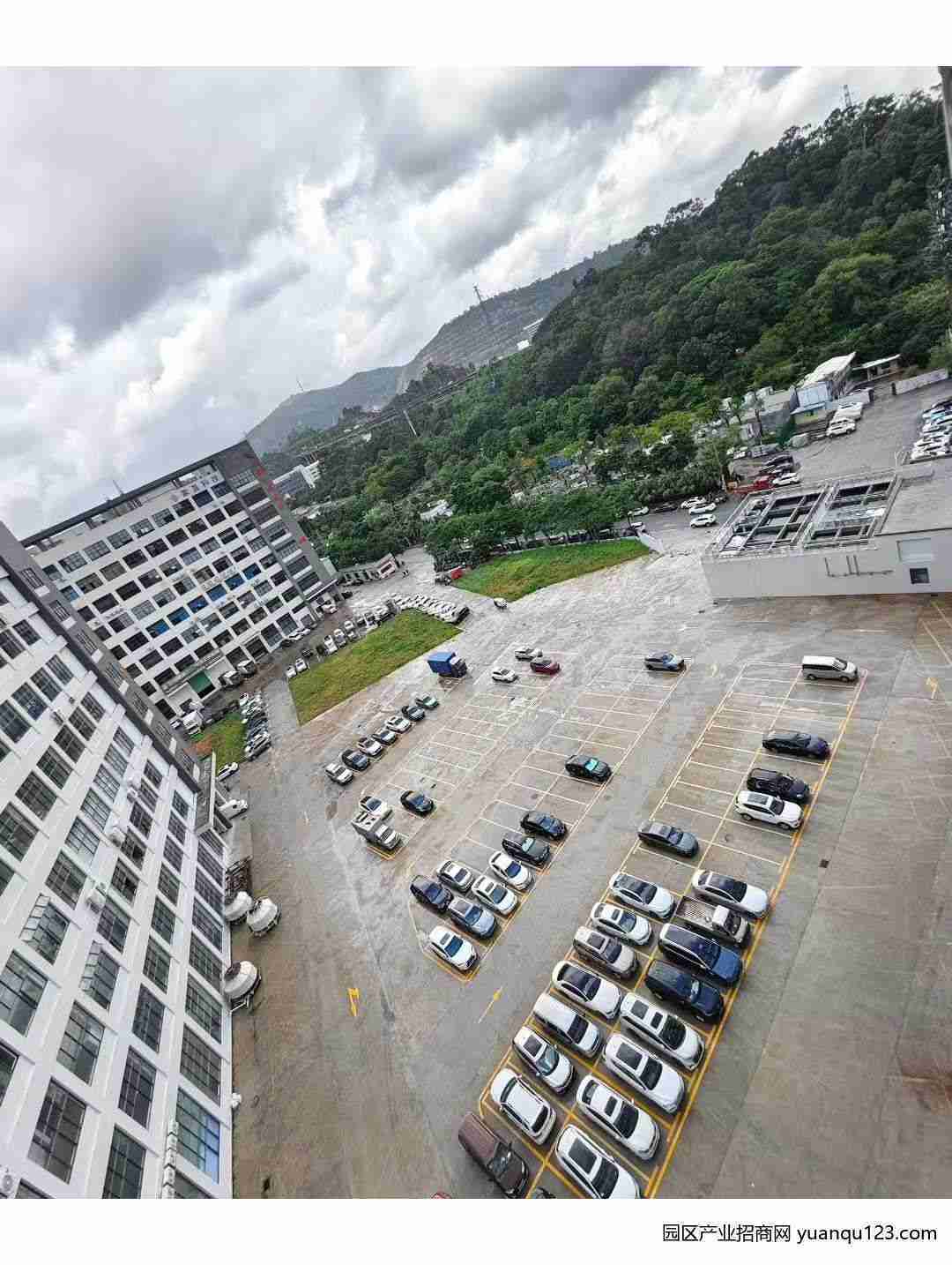 园区实景图