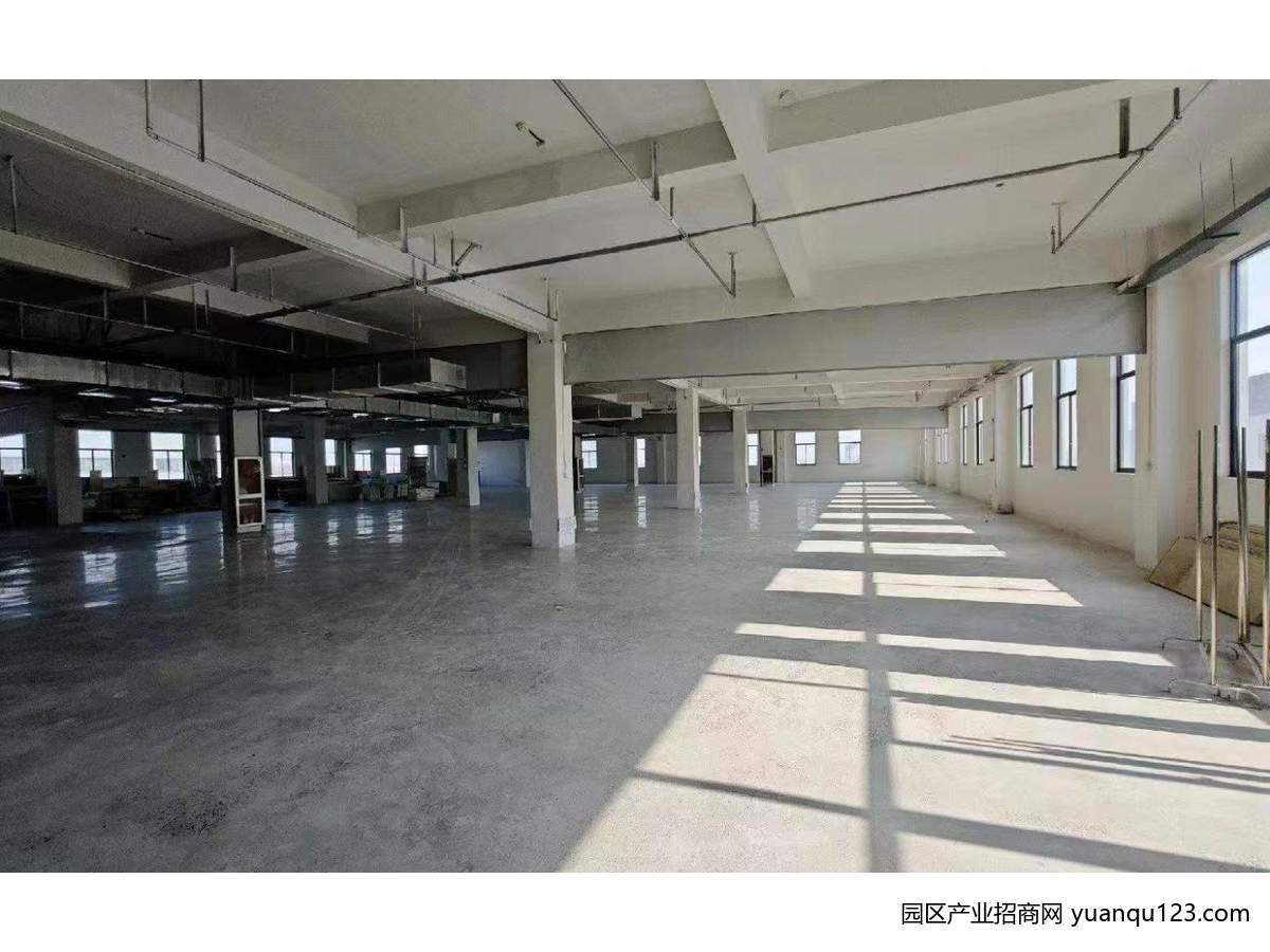 园区实景图