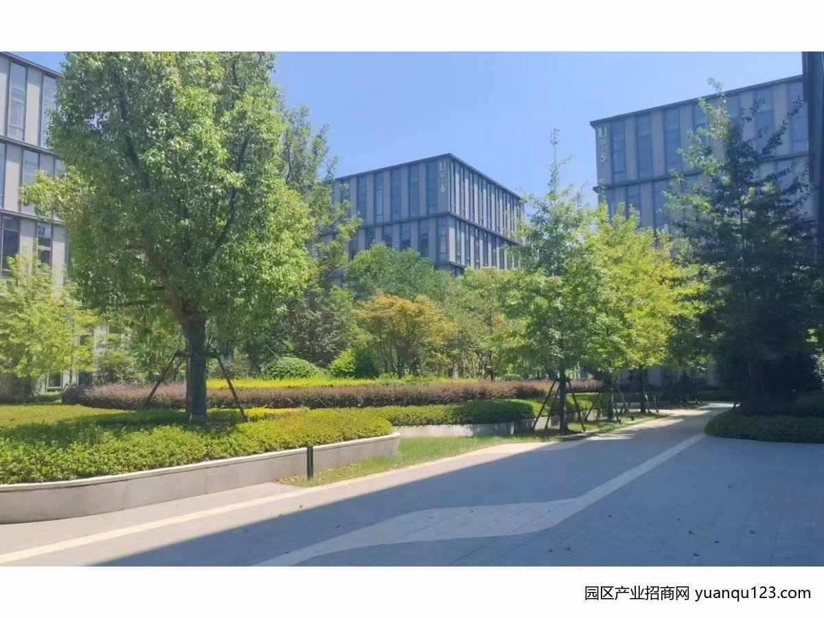 项目整体实景