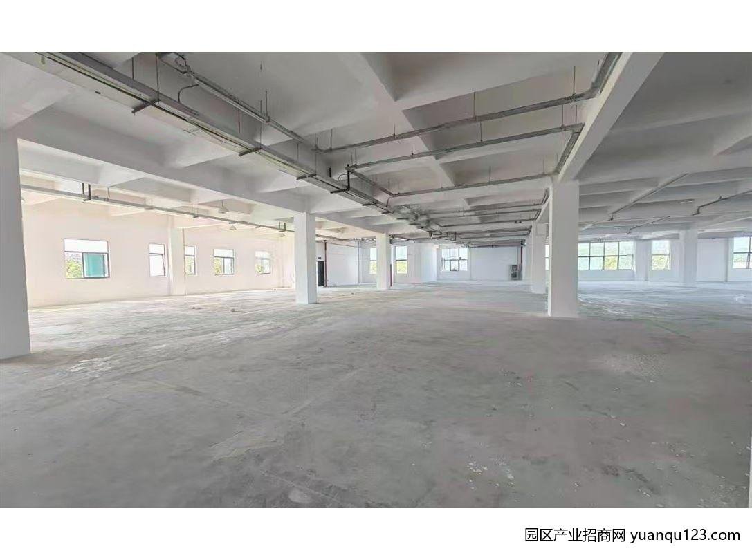 园区实景图