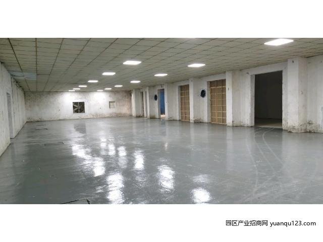 园区实景图
