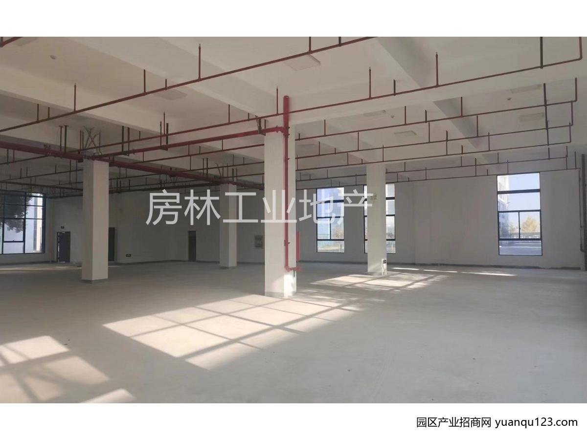 园区实景图