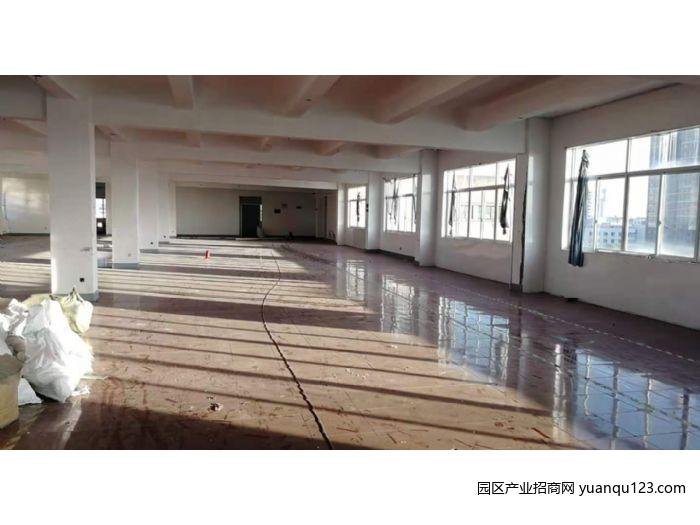 园区实景图