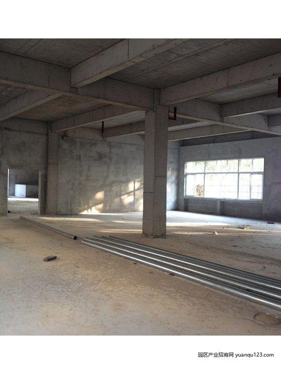 园区实景图