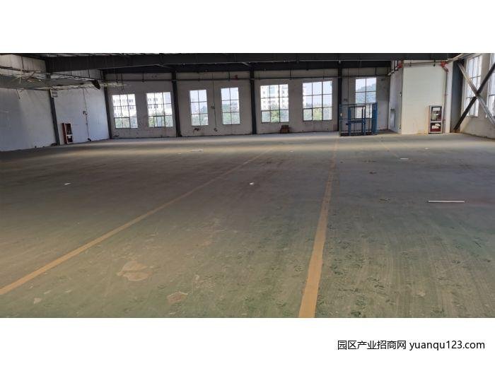 园区实景图