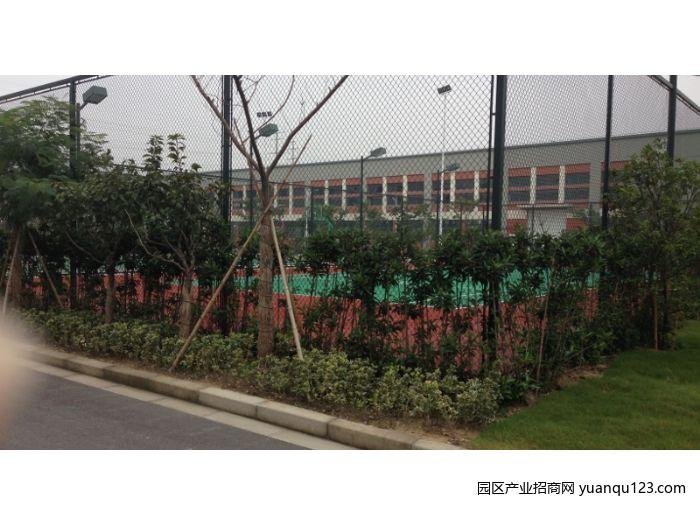 园区实景图