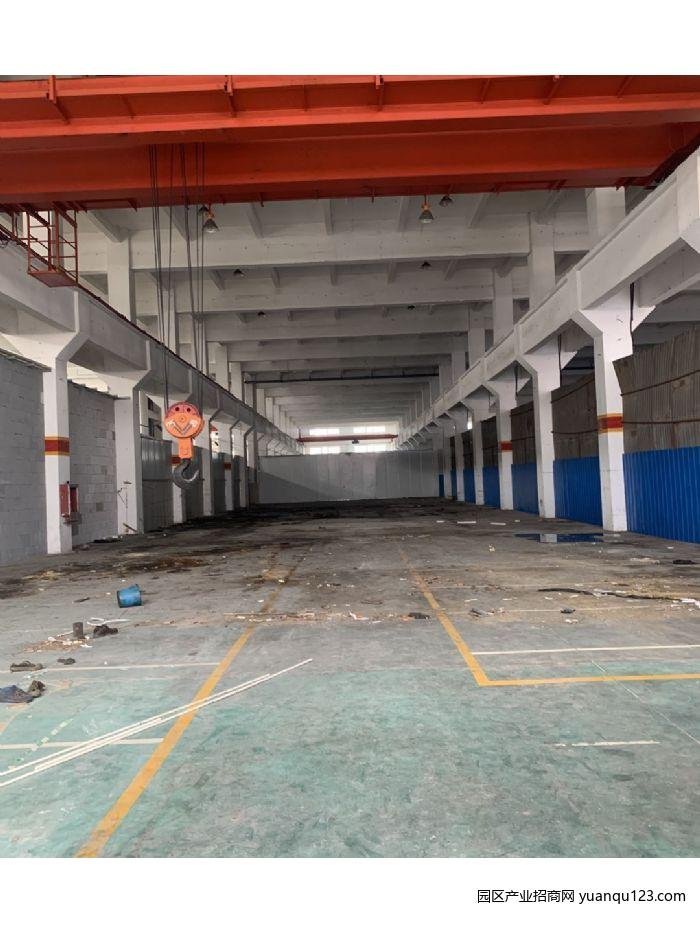 园区实景图
