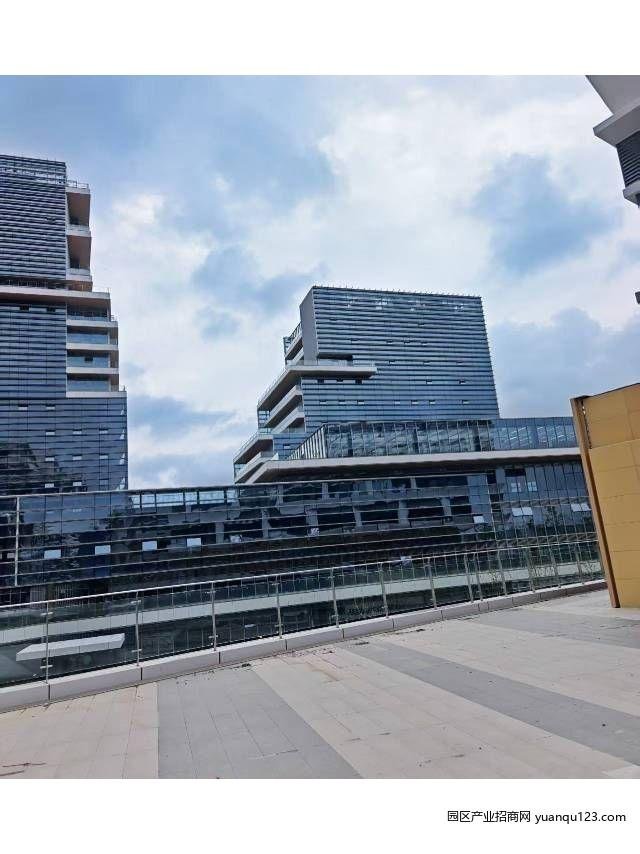 项目整体实景