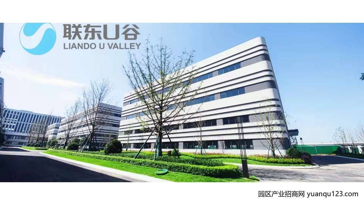 项目整体实景