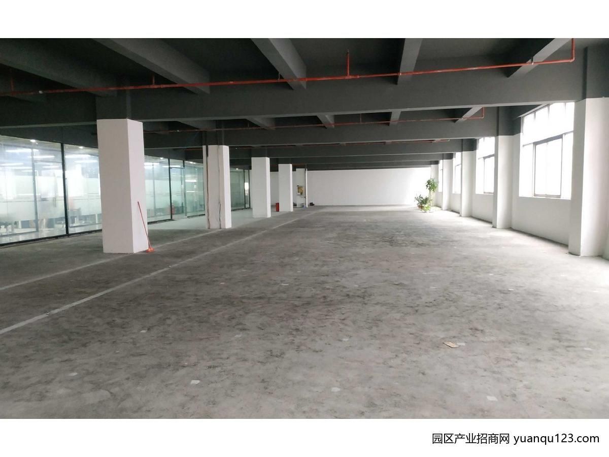 西丽留仙洞地铁口整层900平厂房生产，研发，实验室，贸易，仓储-深圳南山西丽厂房出租（实地看房）