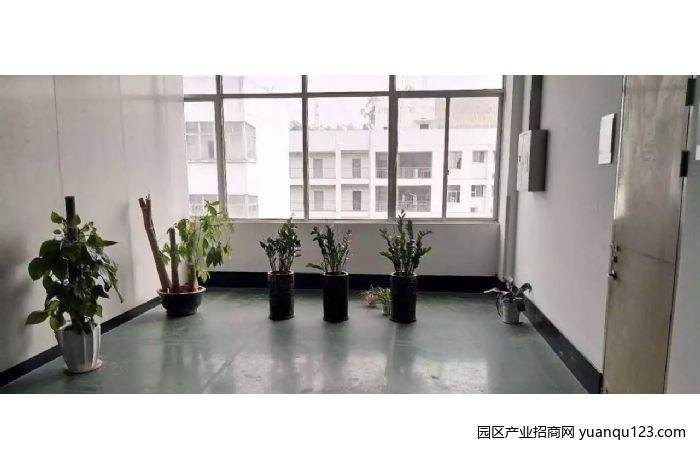 园区实景图