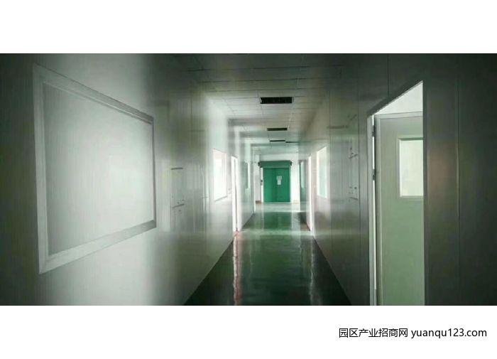 园区实景图