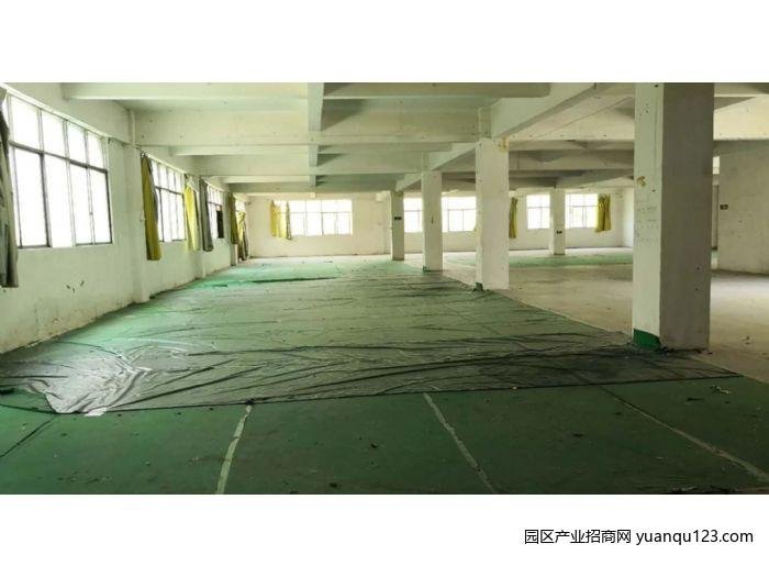 中心城爱南路标准厂房二楼1300平原粤港澳大湾区产业园房东-深圳龙岗龙岗龙岗中心城厂房出租（实地看房