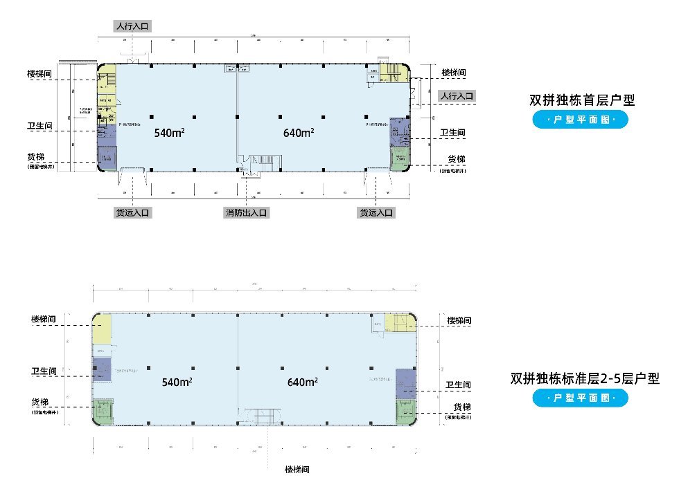 双拼独栋厂房户型图（首层+标准层）