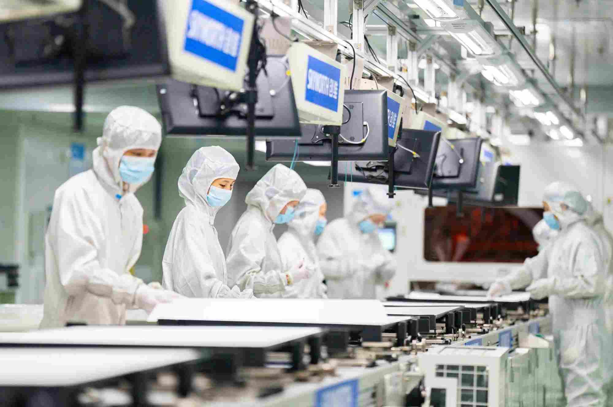 白蕉海鲈产业服务中心竣工 计划10月运营