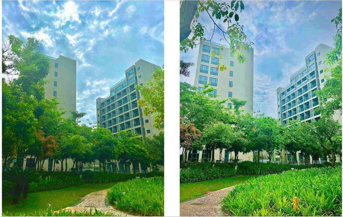 园区独立园林内景实景