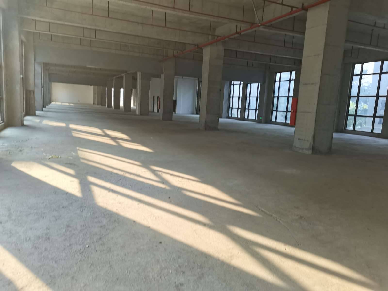A栋厂房内部实景（大面积采光窗）