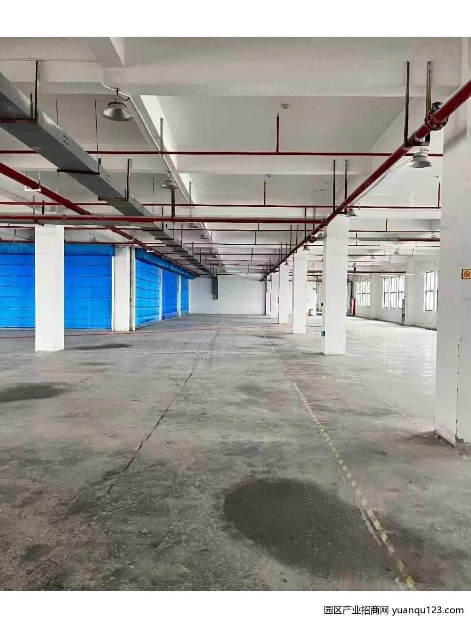 园区实景图