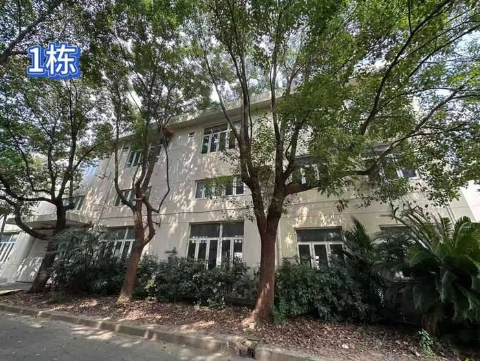 厂区内景实拍