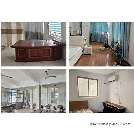 园区实景图