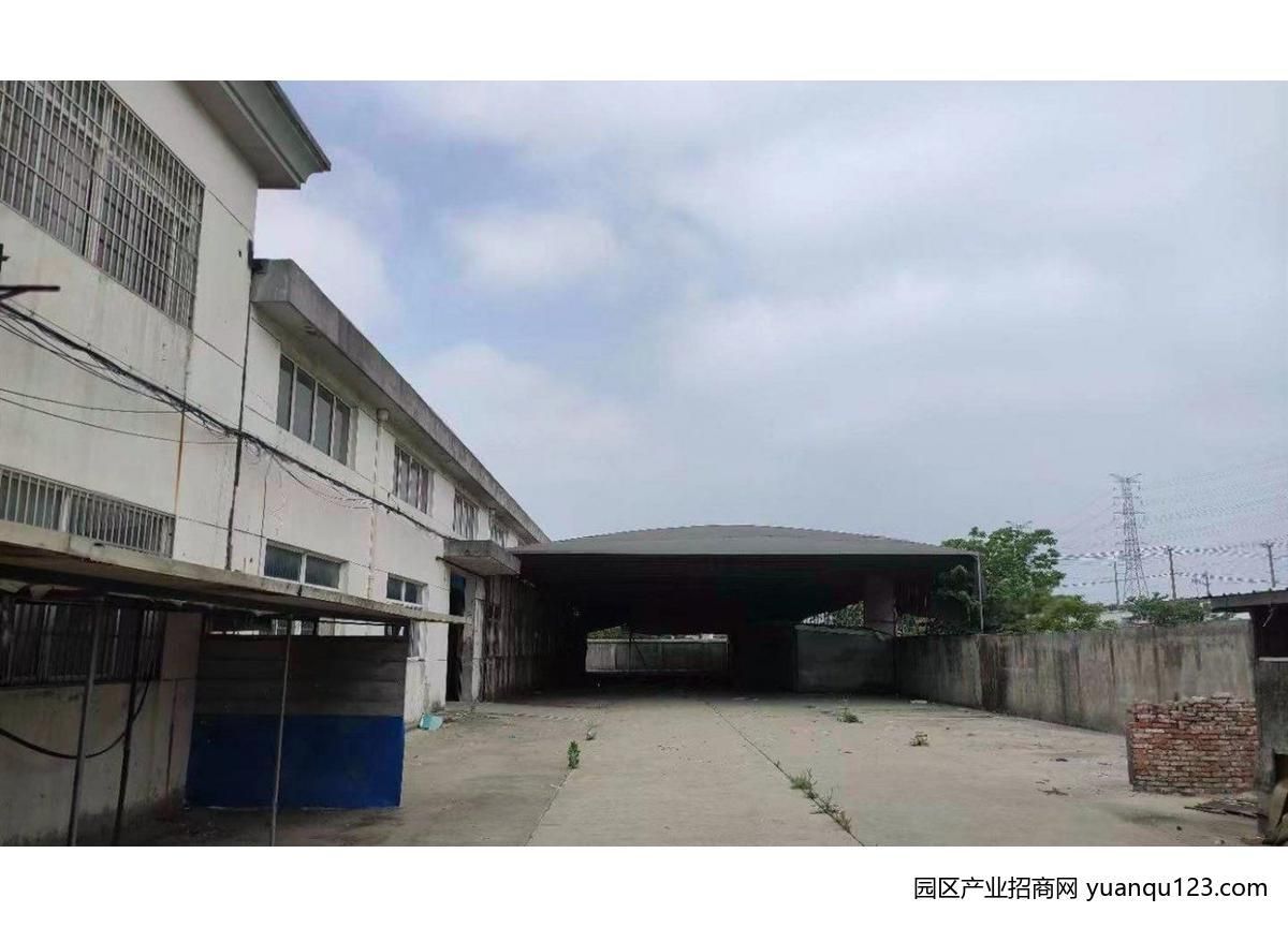 园区实景图