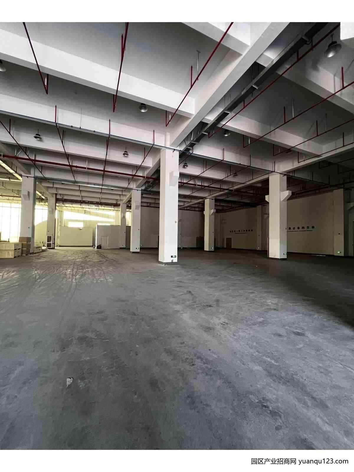 嘉兴南湖区专注长三角产业园科技城一楼厂房3000平层高7.7米环境好，厂房出租（多图实拍）