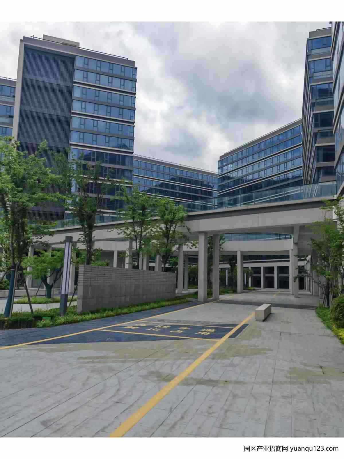 园区实景图