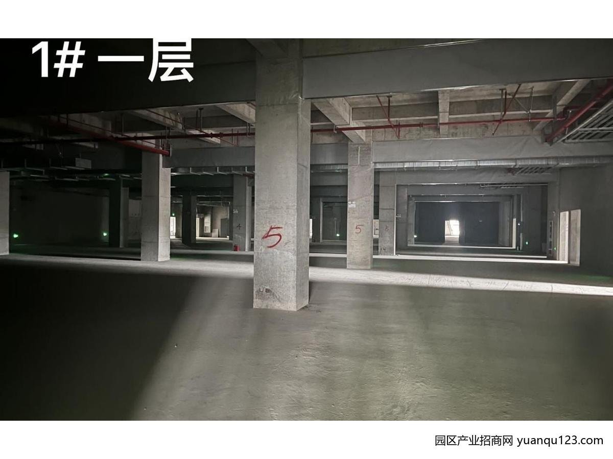 园区实景图