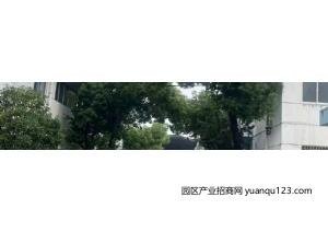 园区实景图