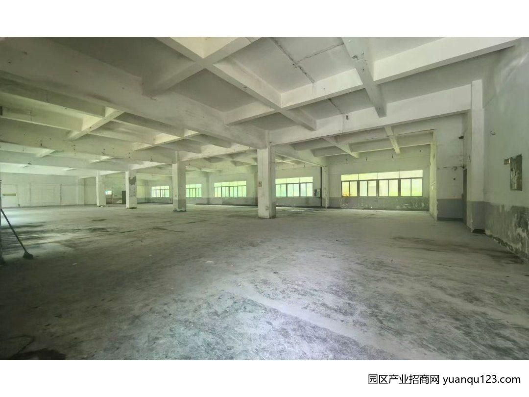 观澜一楼1200平厂房出租-深圳龙华龙粤港澳大湾区产业园华新区龙华厂房出租（多图实拍）