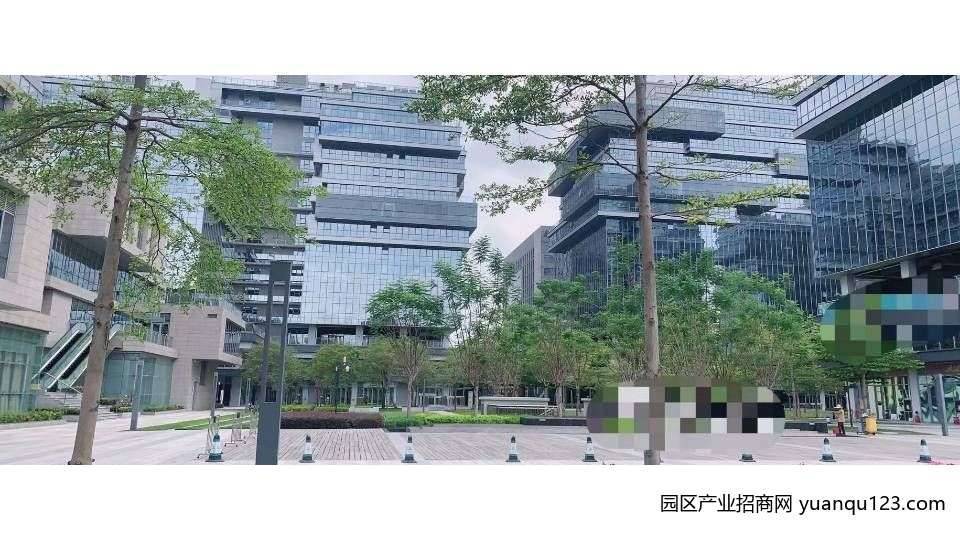 园区实景图