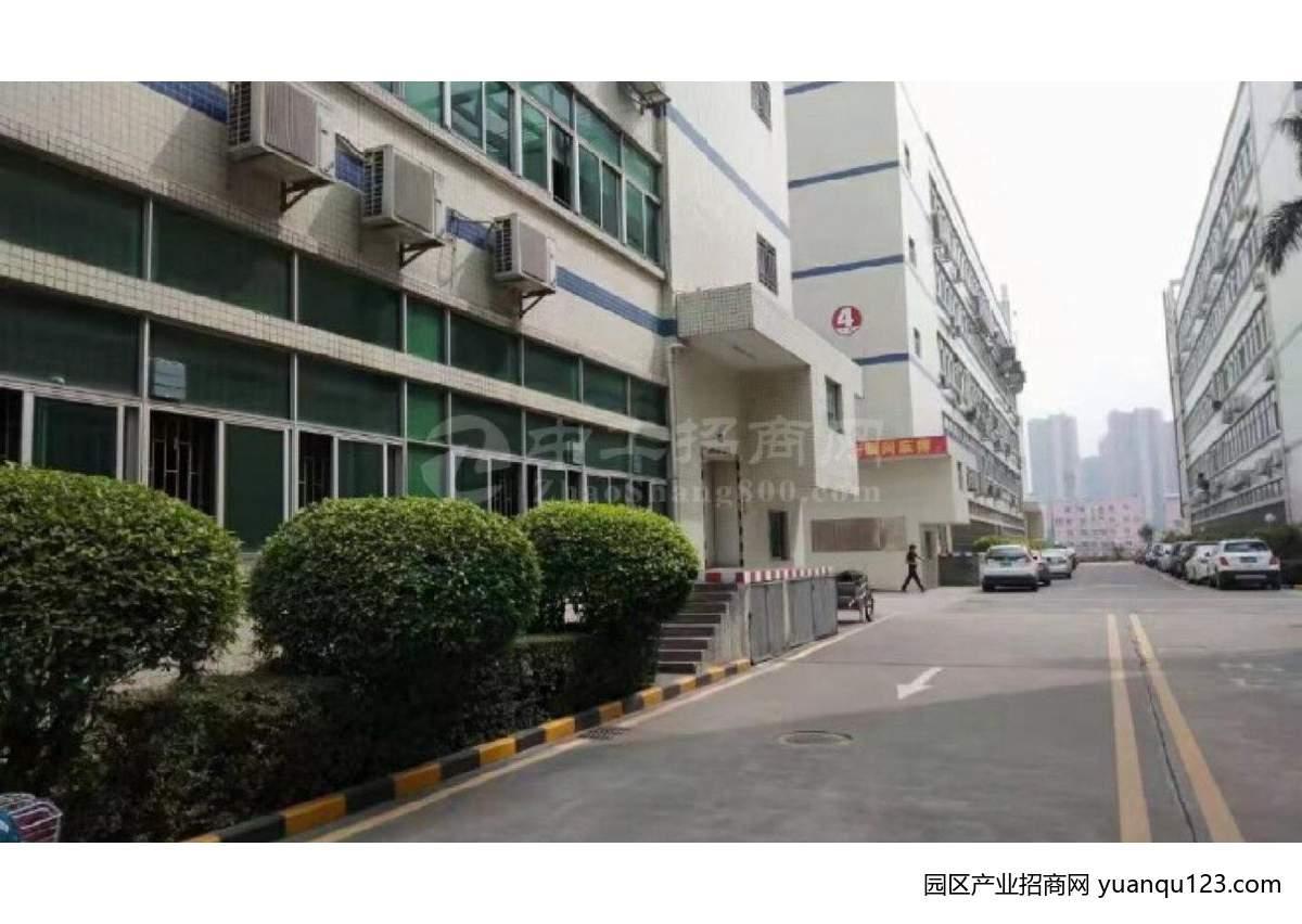 园区实景图