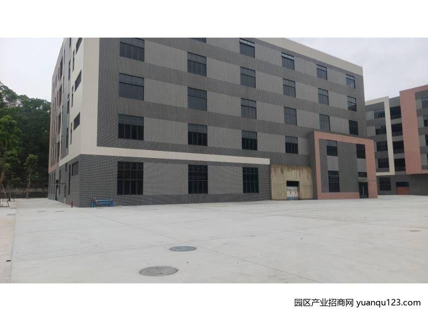 中山粤港澳大湾区产业园南朗独栋高标准厂房出租（实地看房）