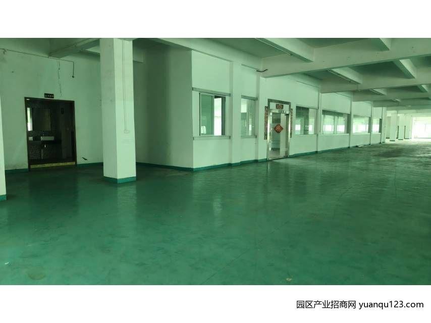 园区实景图