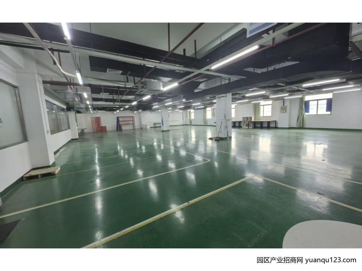 办公室加生产厂房（可生产可当仓库）-广州黄埔黄埔厂房出租（实地看房）