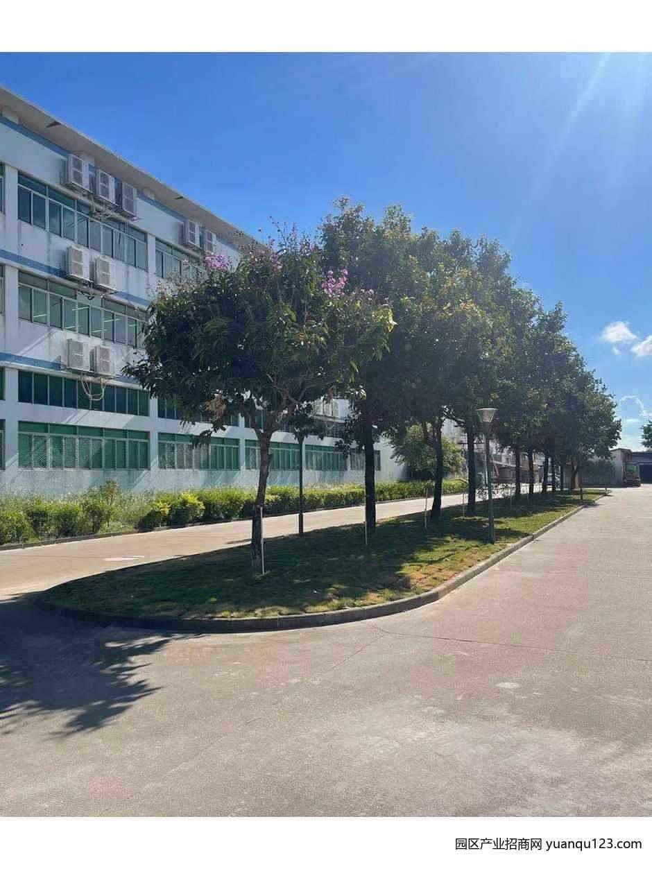 园区实景图