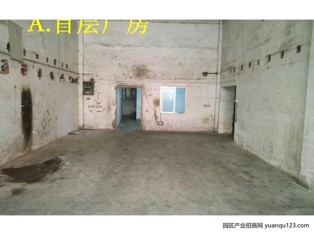 园区实景图