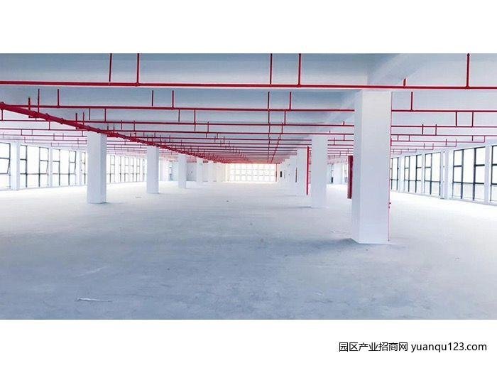 园区实景图