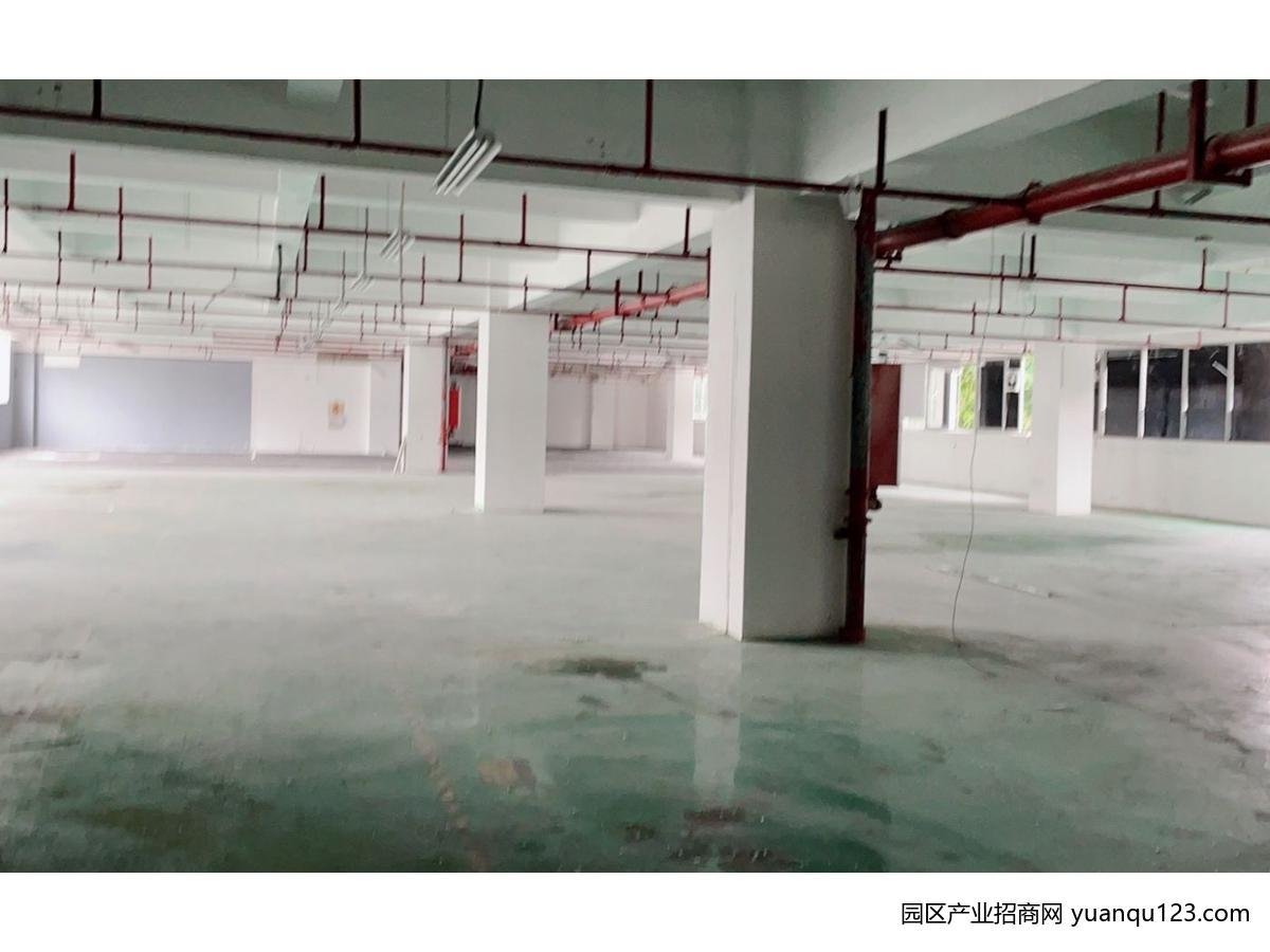 企租租南屏科技园500～1000～3000～9000招租-珠海香洲南屏厂房出租（多图实拍）
