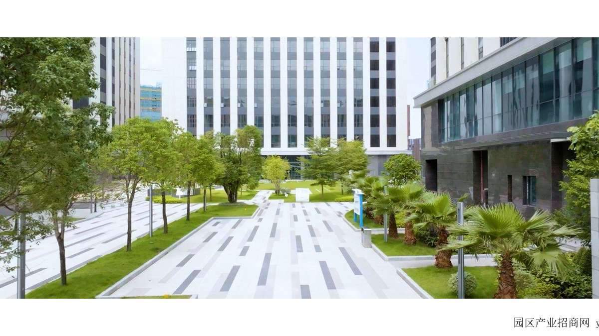 园区实景图