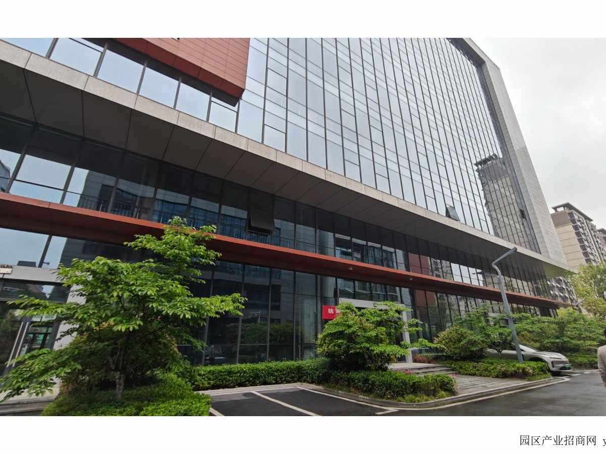 合肥高新区2400平独栋出售近中科大通勤便利配套齐全现房出租（实地看房）