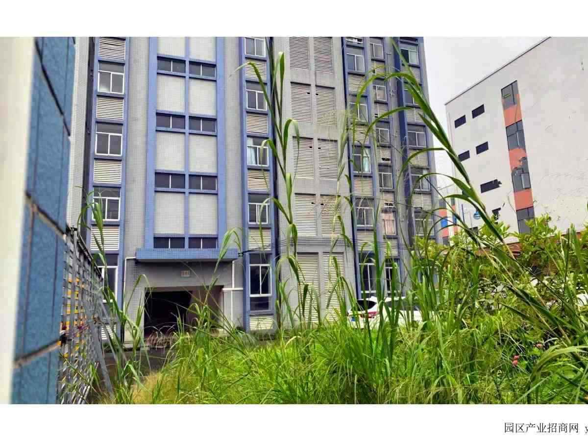 厂房实景图