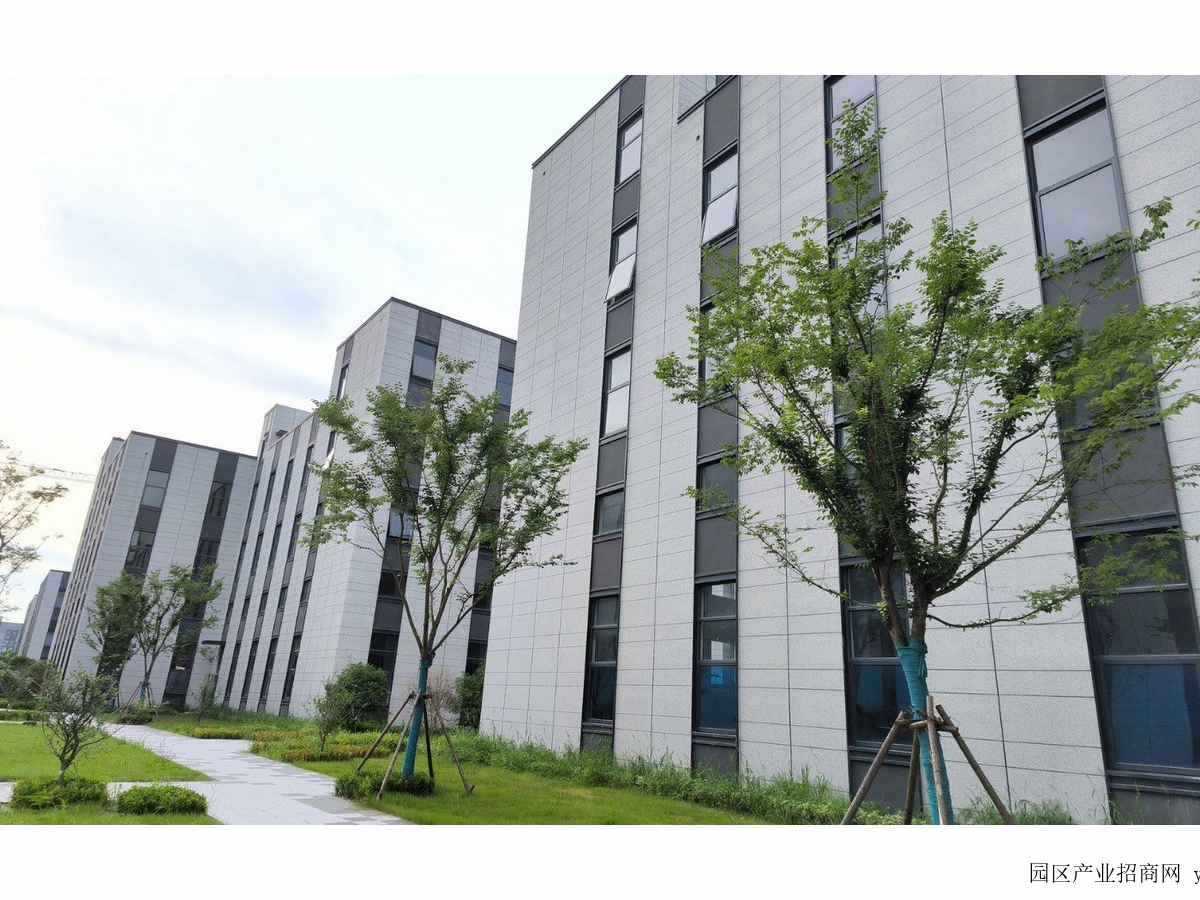 园区实景图