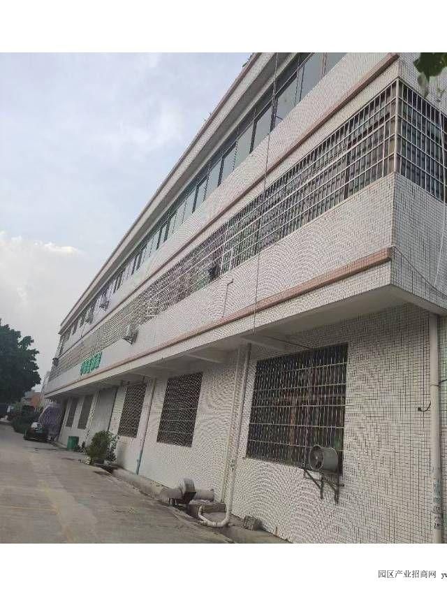 大龙茶东标准厂房仓库1000平方出租-广州番禺粤港澳大湾区产业园番禺石碁厂房出租（推荐优选）