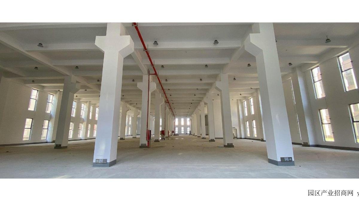 合肥蜀山区蜀山经济技术开发区高新区1000至10000平全新厂房出租！-合肥蜀山长江西路厂房出租（推